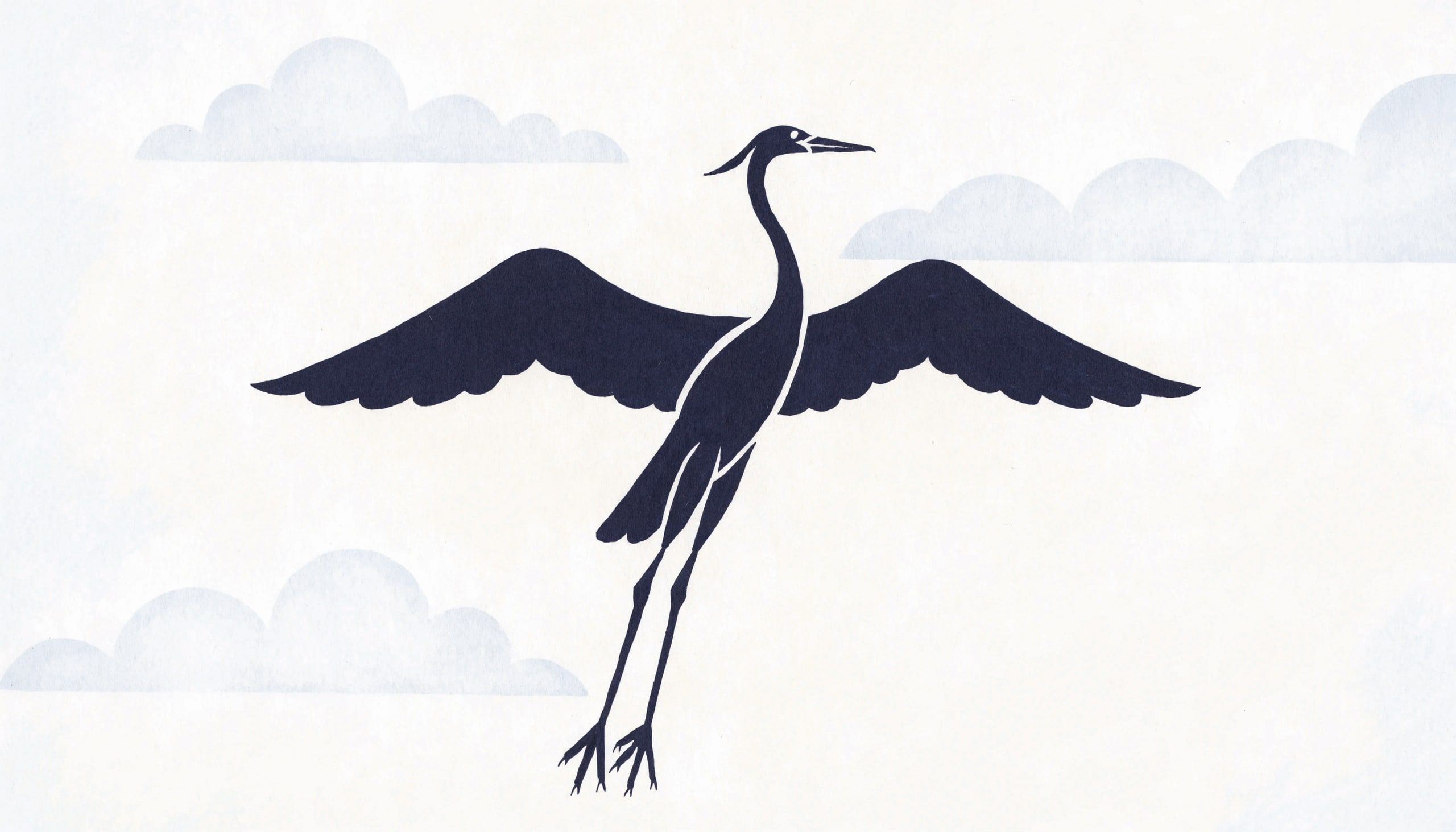 Oiseaux · Ciel