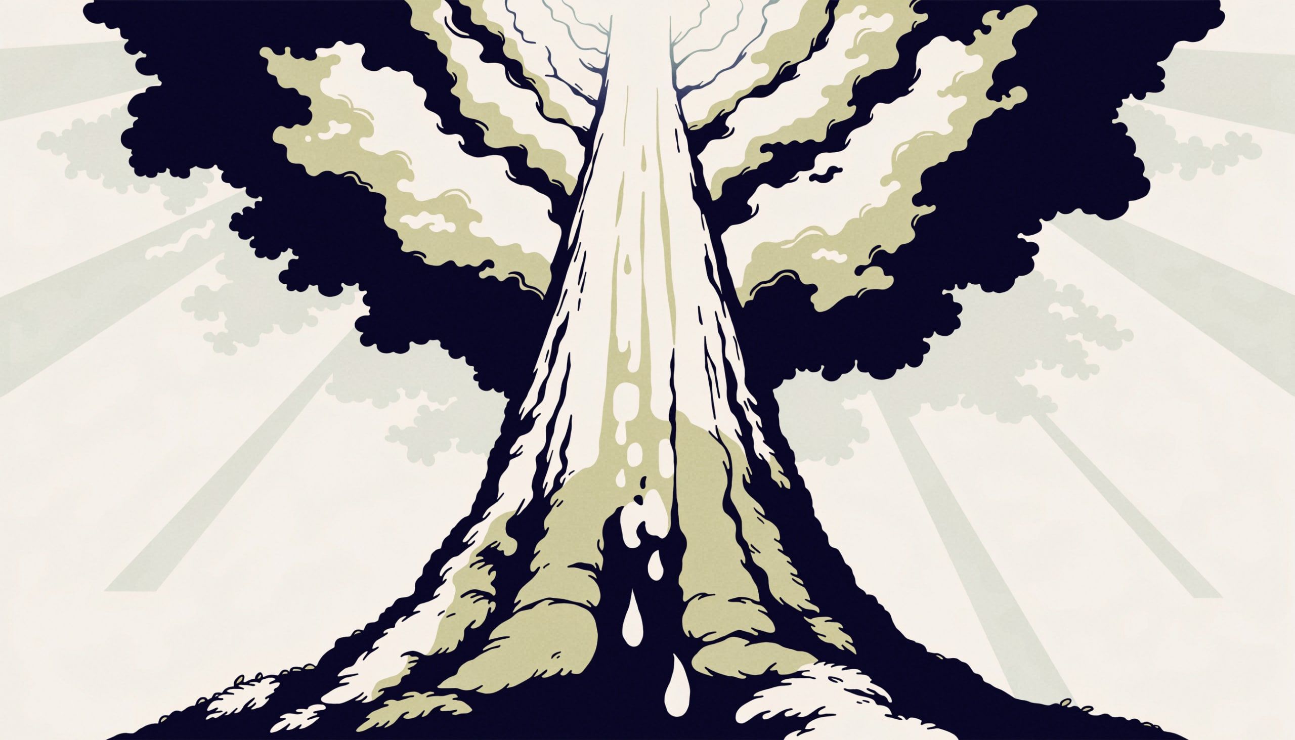 Past a certain height, a tree can no longer pull water all the way up to its leaves: the liquid breaks inside its channels before it reaches the crown.