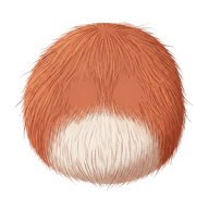 Quaé Sylvora, mascotte de Quarelia